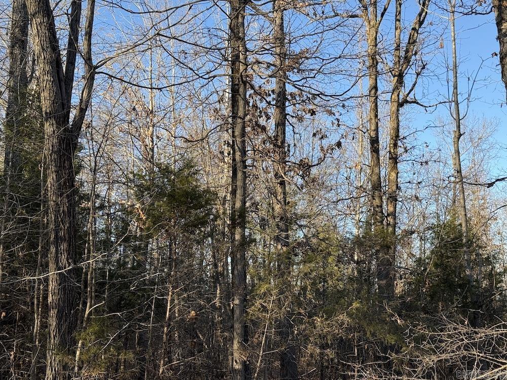 Photo 25 - Vacant Land for sale –   Hwy 62/36   Williford, AR