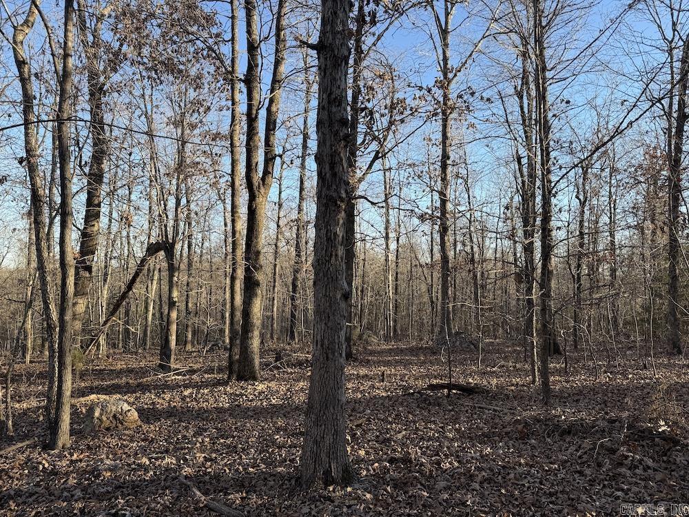 Photo 26 - Vacant Land for sale –   Hwy 62/36   Williford, AR