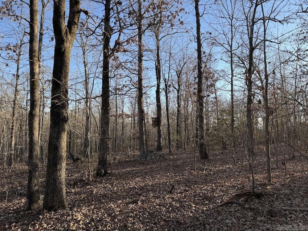 Photo 27 - Vacant Land for sale –   Hwy 62/36   Williford, AR