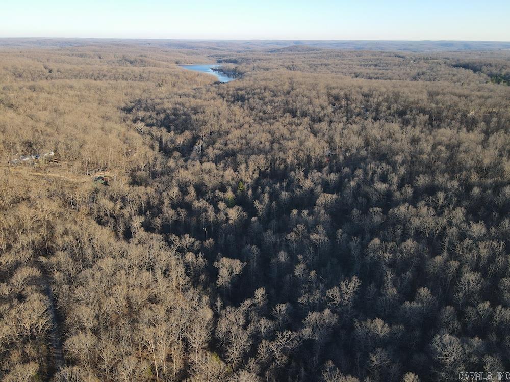 Photo 4 - Vacant Land for sale –   Hwy 62/36   Williford, AR