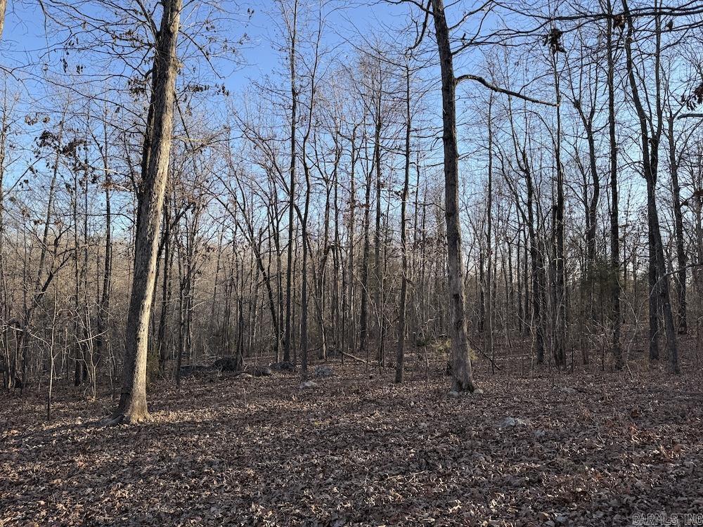 Photo 31 - Vacant Land for sale –   Hwy 62/36   Williford, AR