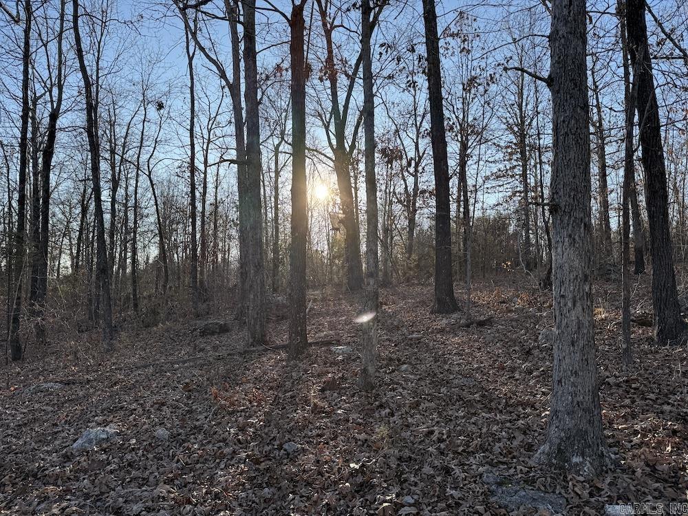 Photo 32 - Vacant Land for sale –   Hwy 62/36   Williford, AR