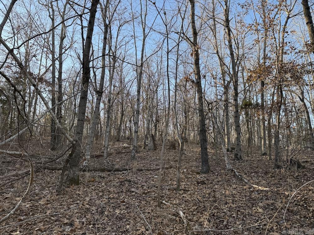 Photo 33 - Vacant Land for sale –   Hwy 62/36   Williford, AR