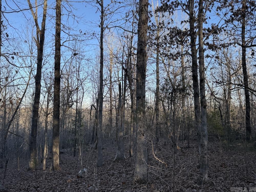 Photo 34 - Vacant Land for sale –   Hwy 62/36   Williford, AR