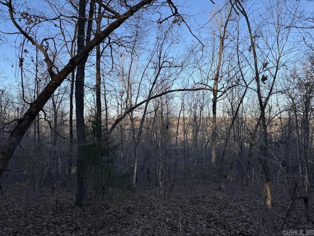 Photo 36 - Vacant Land for sale –   Hwy 62/36   Williford, AR