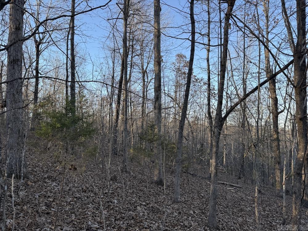 Photo 37 - Vacant Land for sale –   Hwy 62/36   Williford, AR