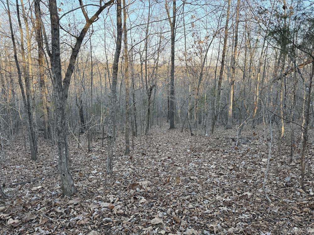 Photo 40 - Vacant Land for sale –   Hwy 62/36   Williford, AR