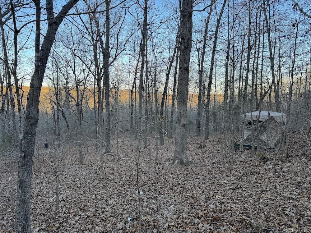 Photo 5 - Vacant Land for sale –   Hwy 62/36   Williford, AR