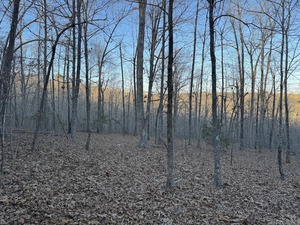 Photo 41 - Vacant Land for sale –   Hwy 62/36   Williford, AR