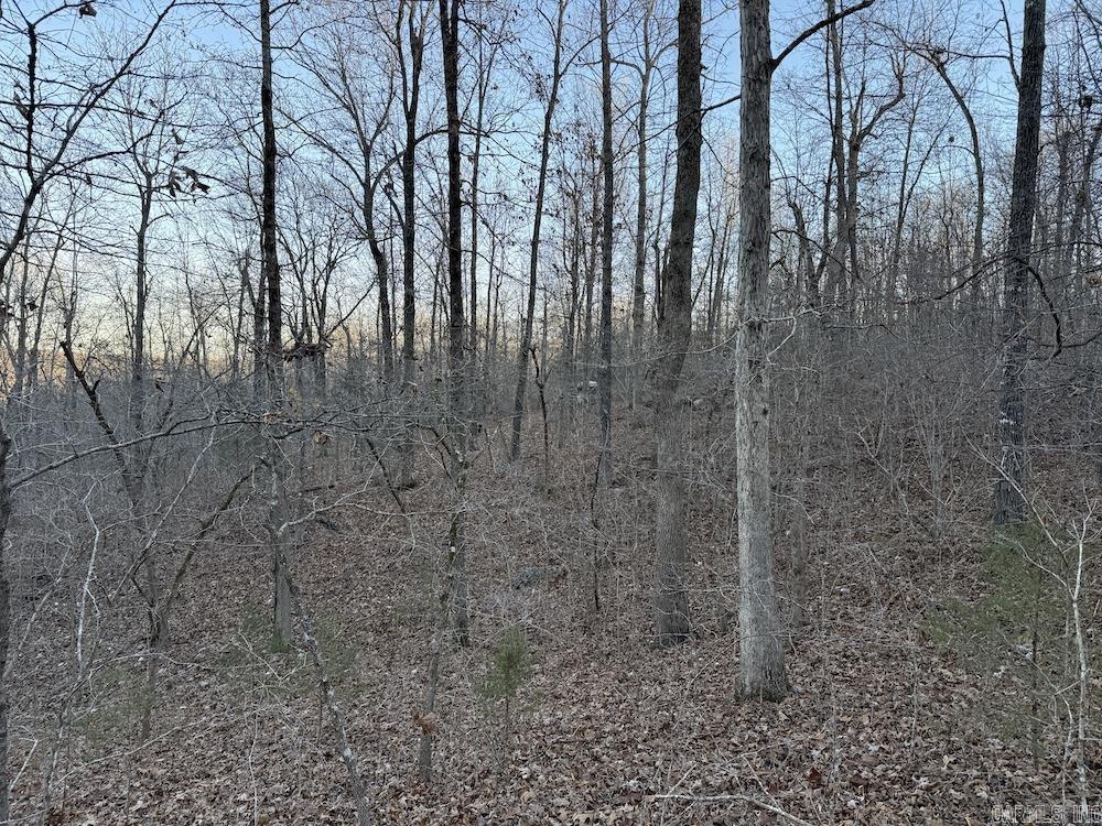 Photo 42 - Vacant Land for sale –   Hwy 62/36   Williford, AR