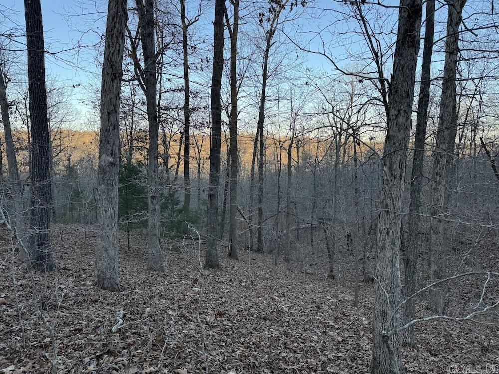 Photo 43 - Vacant Land for sale –   Hwy 62/36   Williford, AR