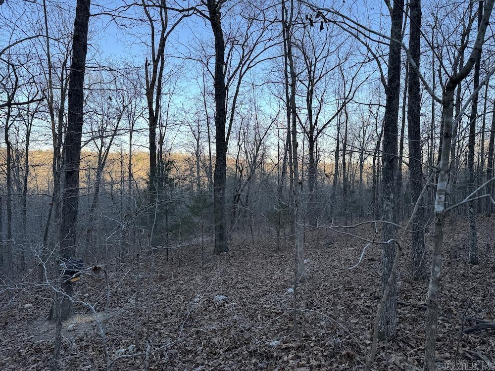 Photo 44 - Vacant Land for sale –   Hwy 62/36   Williford, AR