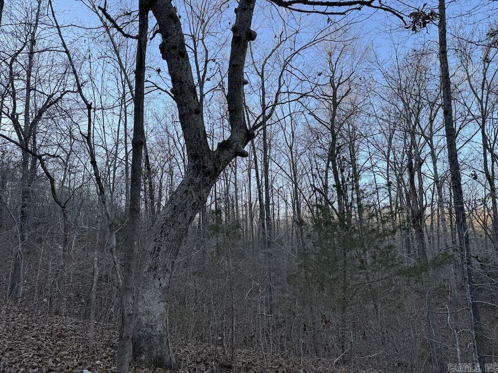 Photo 45 - Vacant Land for sale –   Hwy 62/36   Williford, AR