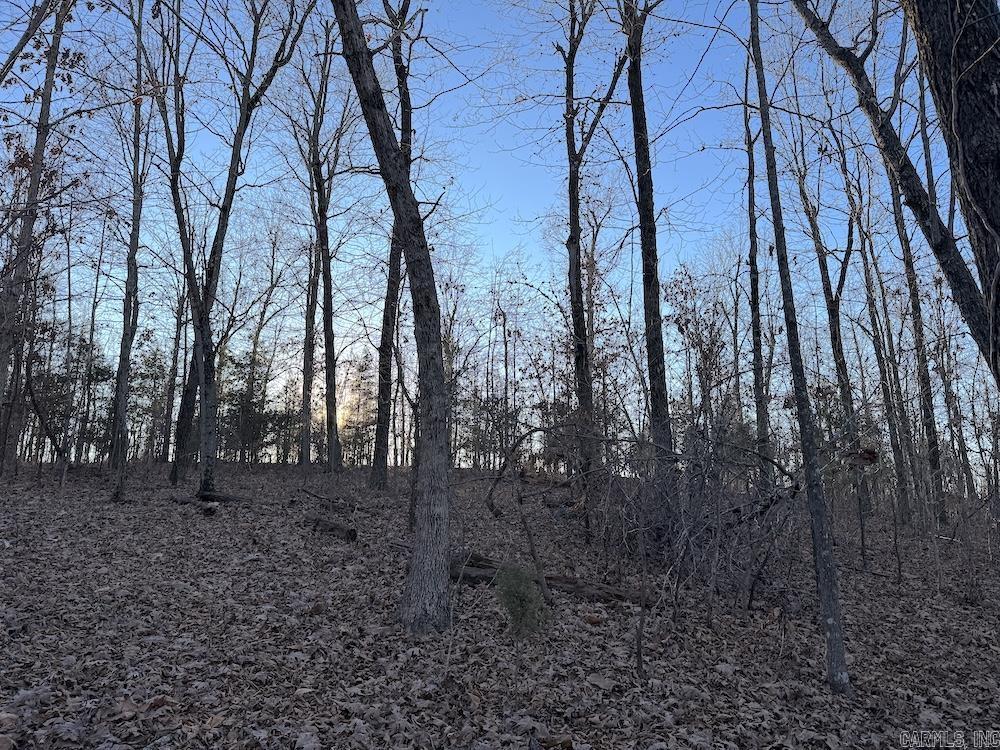 Photo 46 - Vacant Land for sale –   Hwy 62/36   Williford, AR