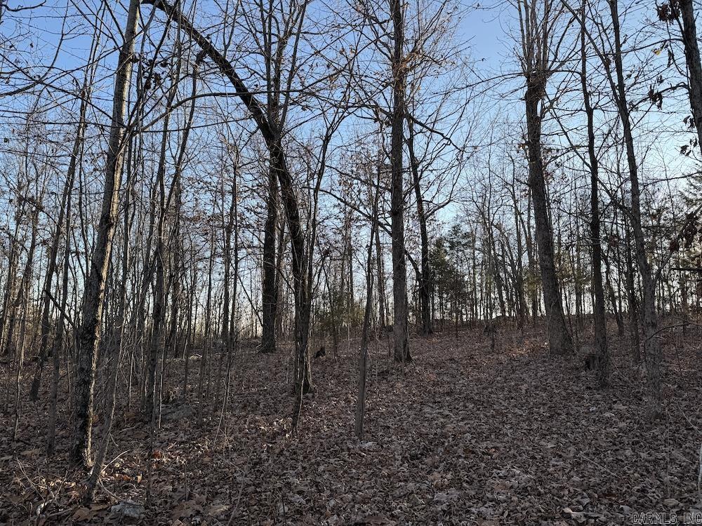 Photo 47 - Vacant Land for sale –   Hwy 62/36   Williford, AR