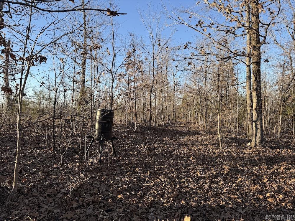 Photo 48 - Vacant Land for sale –   Hwy 62/36   Williford, AR