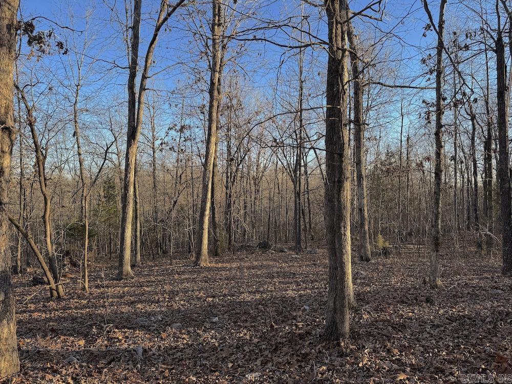 Photo 6 - Vacant Land for sale –   Hwy 62/36   Williford, AR