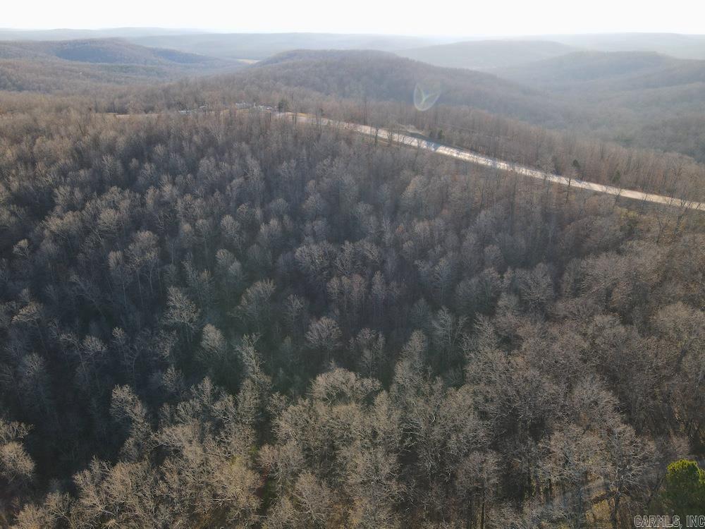 Photo 8 - Vacant Land for sale –   Hwy 62/36   Williford, AR