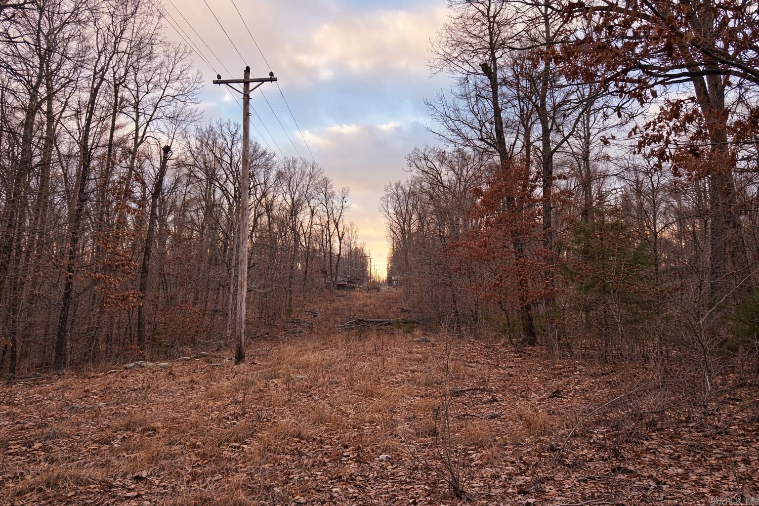 Photo 3 - Vacant Land for sale – 000  Acres Road   Williford, AR