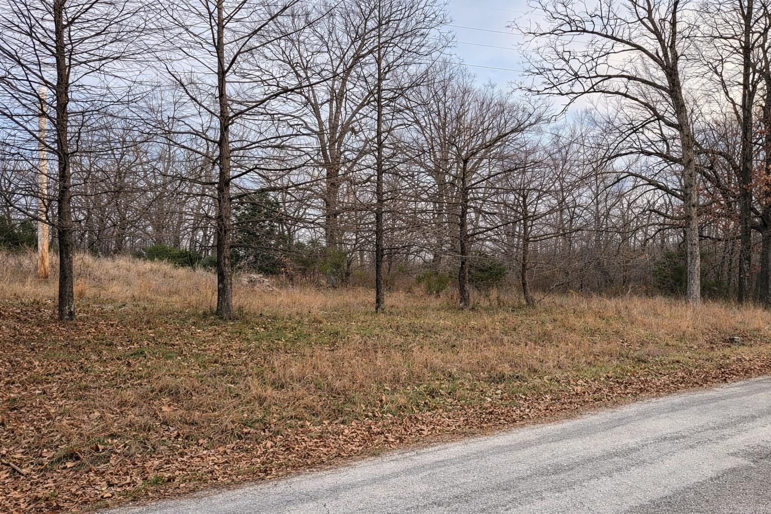 Photo 5 - Vacant Land for sale – 000  Acres Road   Williford, AR