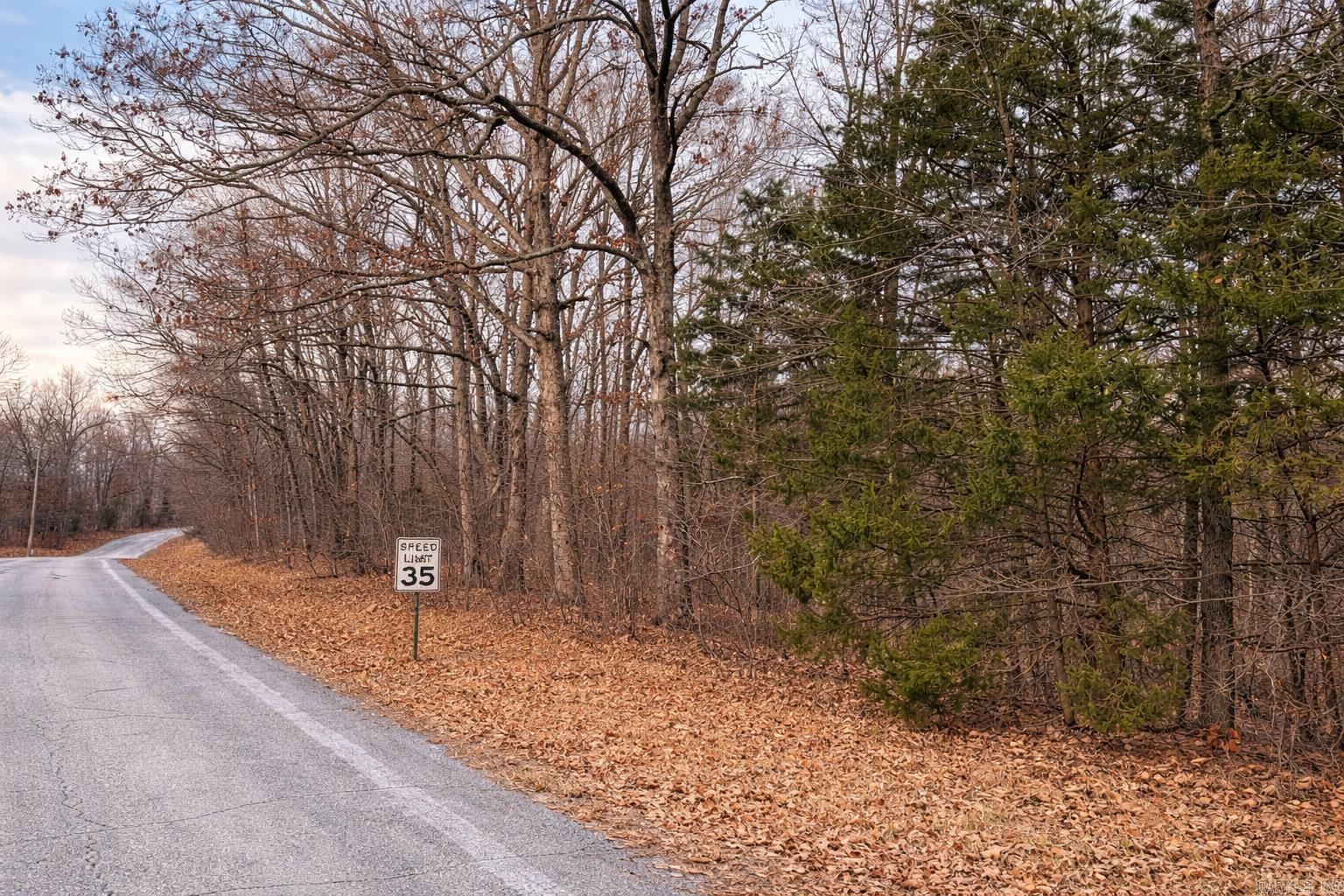 Photo 6 - Vacant Land for sale – 000  Acres Road   Williford, AR