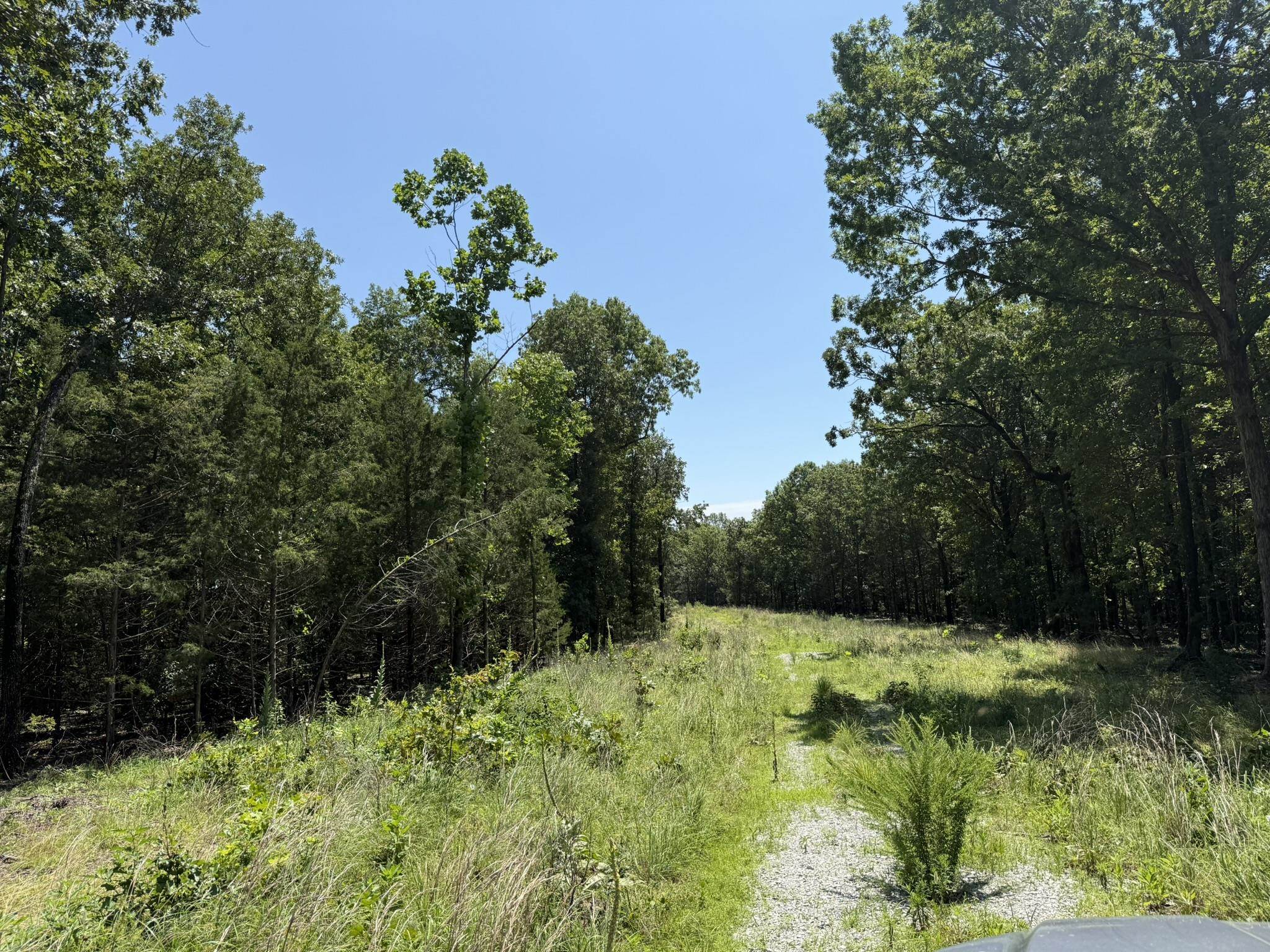 Photo 11 - Vacant Land for sale –   Kremer   Franklin, AR