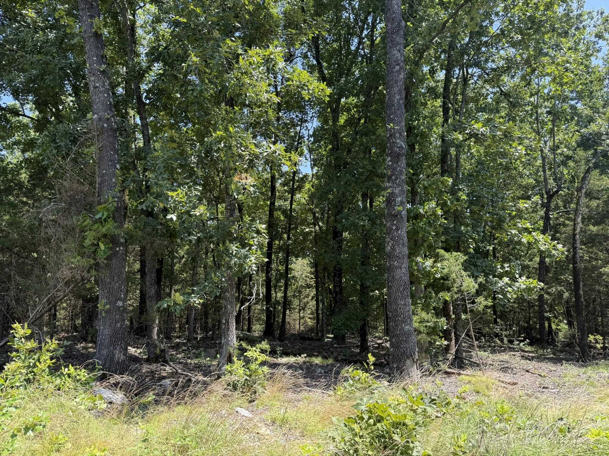 Photo 12 - Vacant Land for sale –   Kremer   Franklin, AR