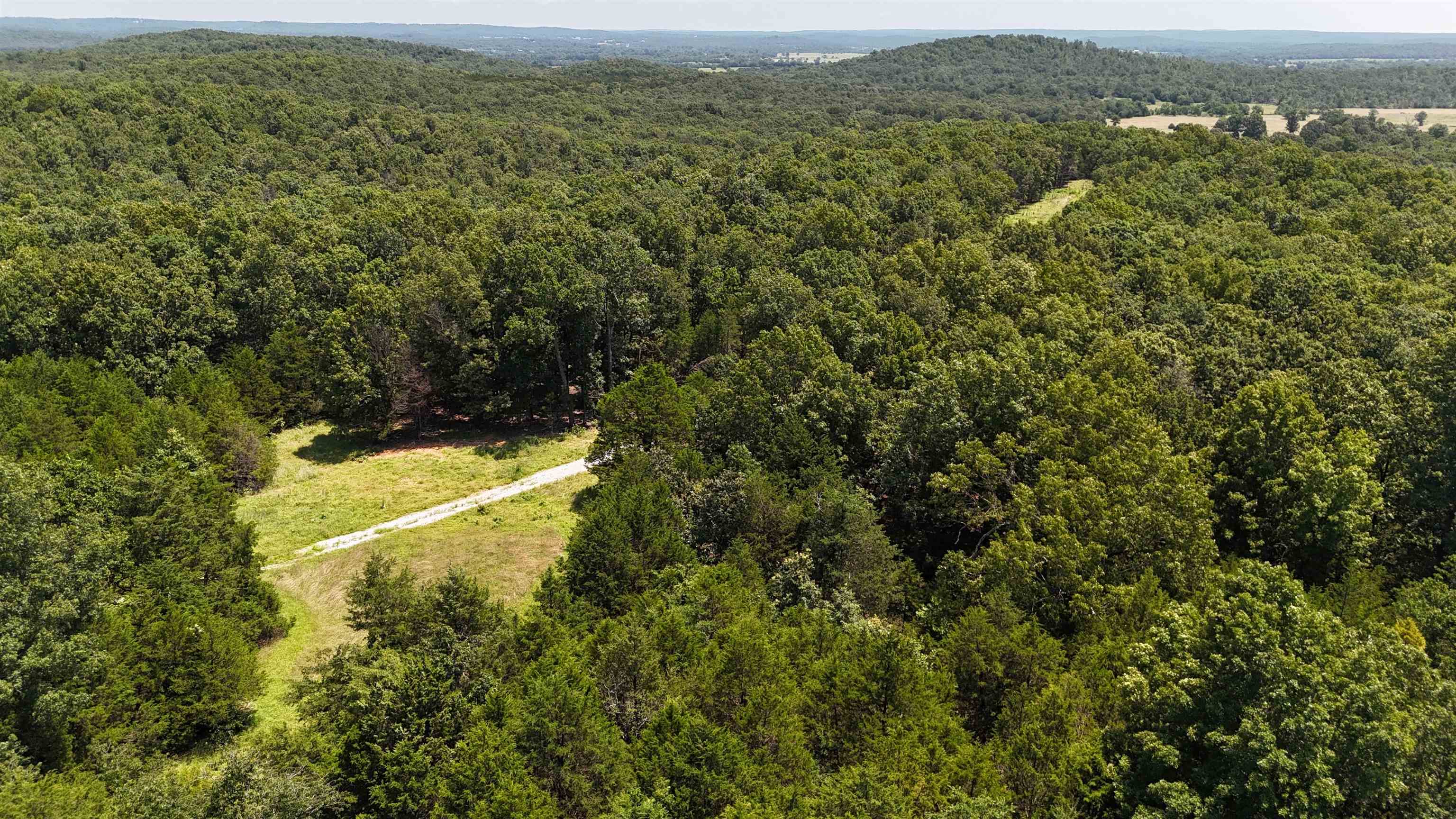 Photo 5 - Vacant Land for sale –   Kremer   Franklin, AR