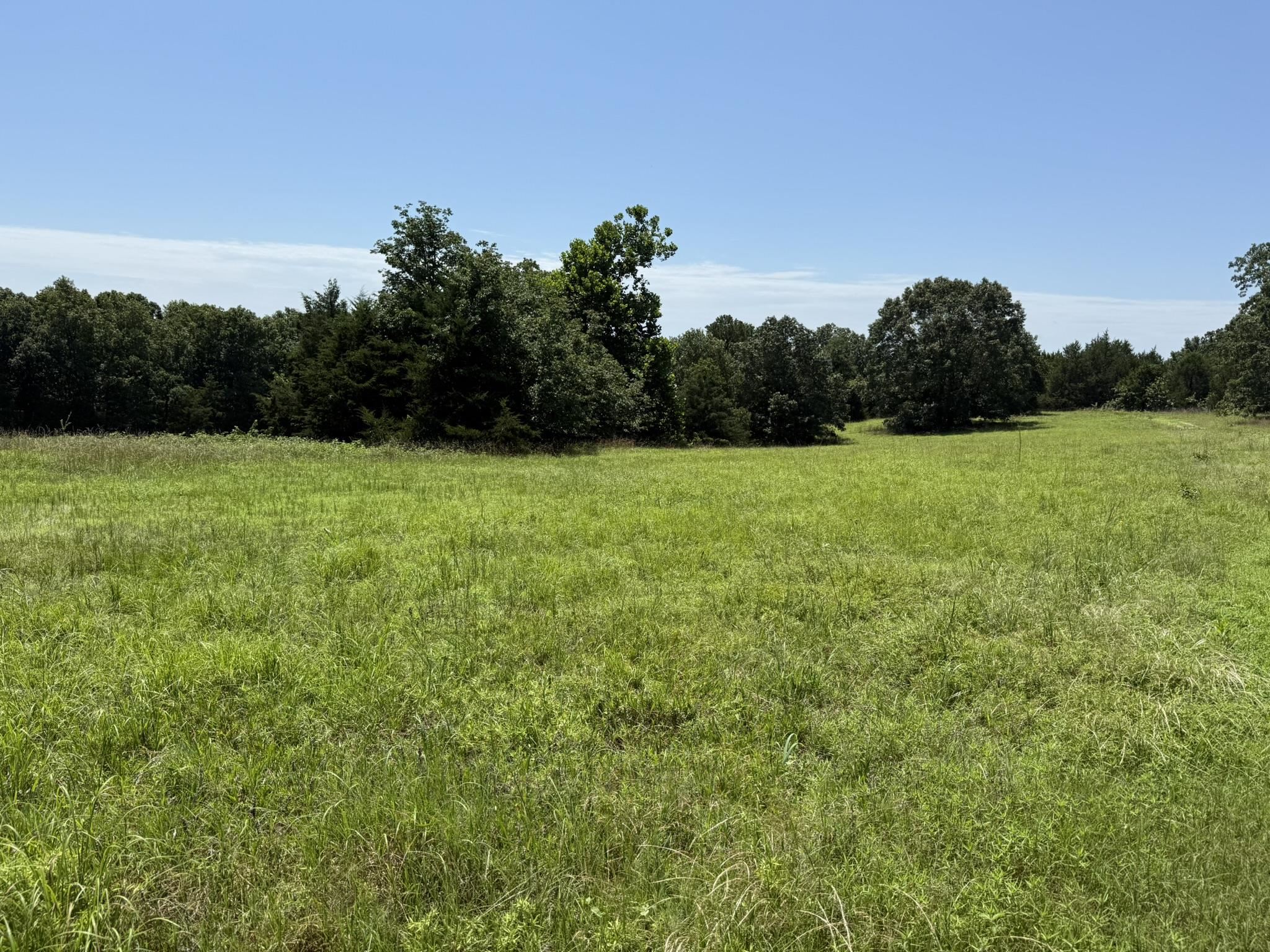 Photo 9 - Vacant Land for sale –   Kremer   Franklin, AR