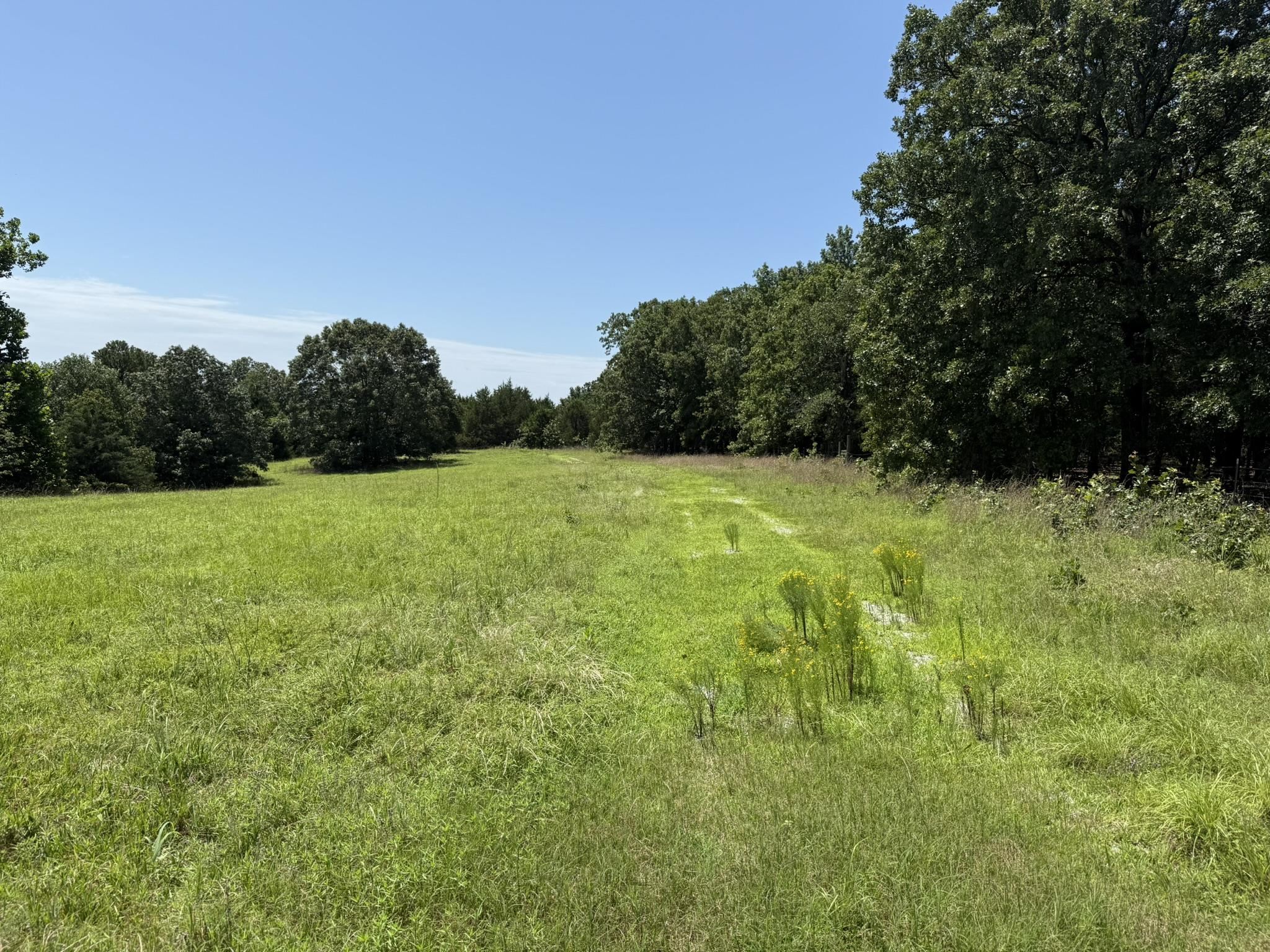 Photo 10 - Vacant Land for sale –   Kremer   Franklin, AR