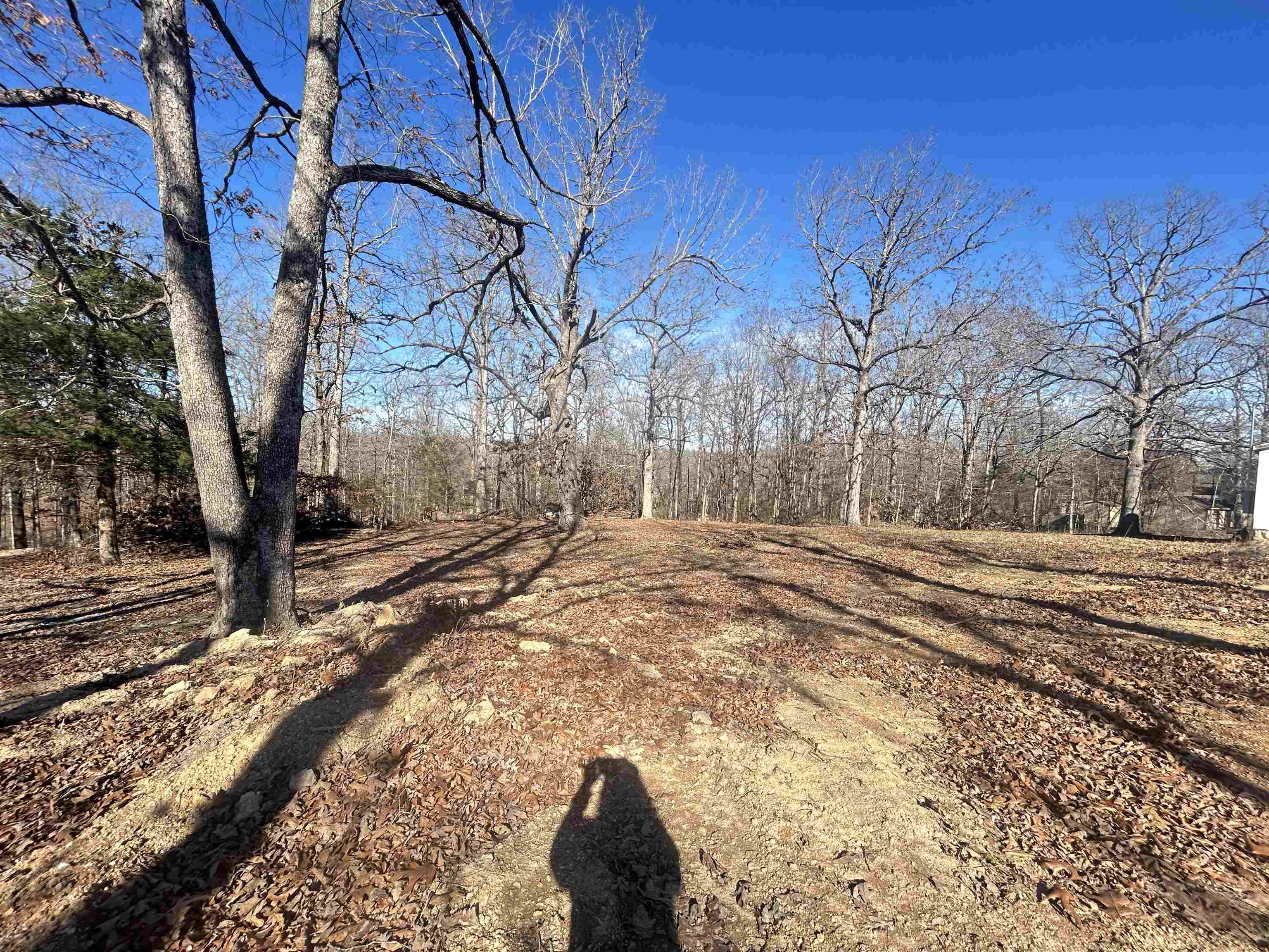 Photo 11 - Vacant Land for sale – TBD  FM 101   Highland, AR