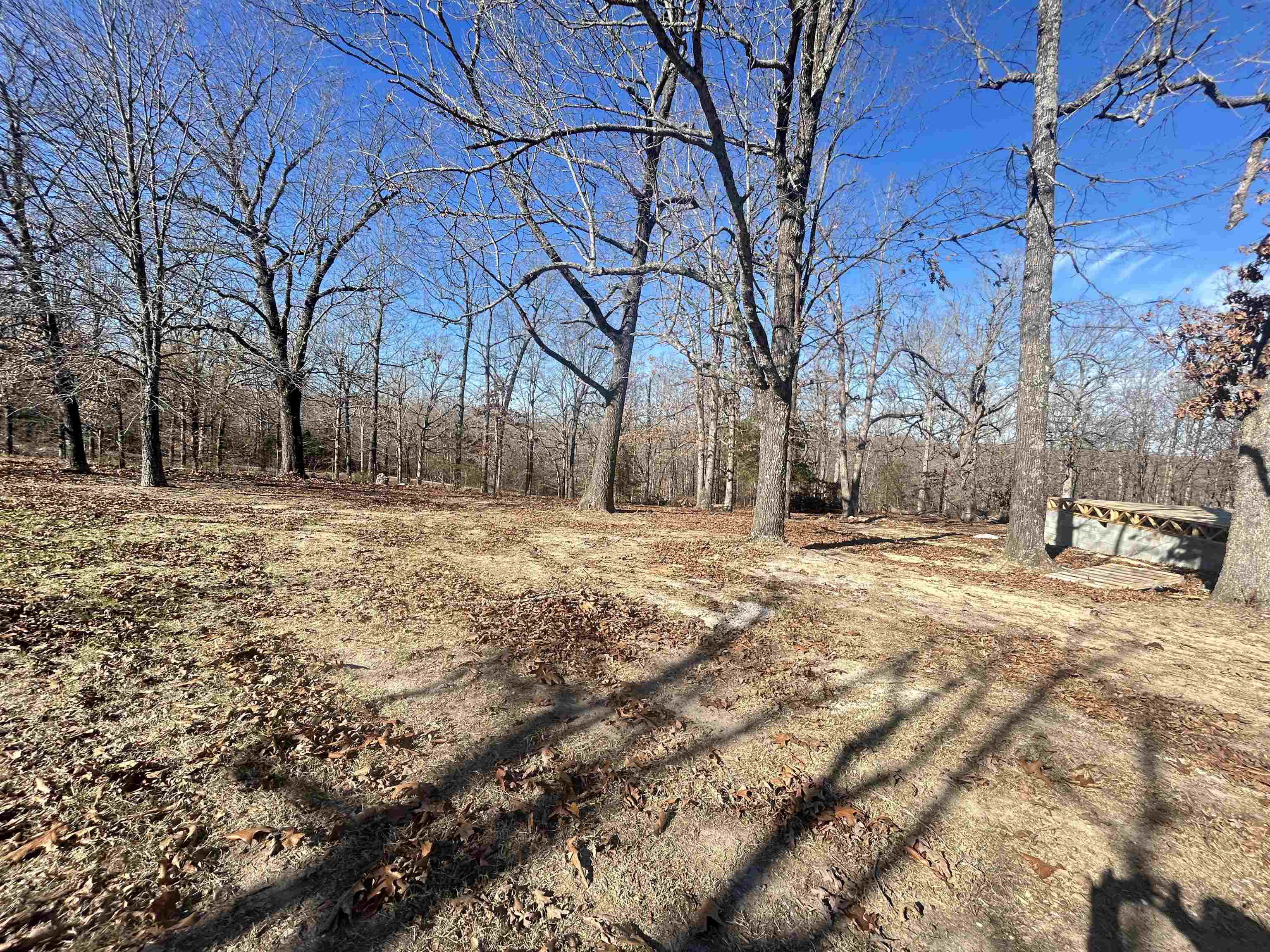 Photo 12 - Vacant Land for sale – TBD  FM 101   Highland, AR