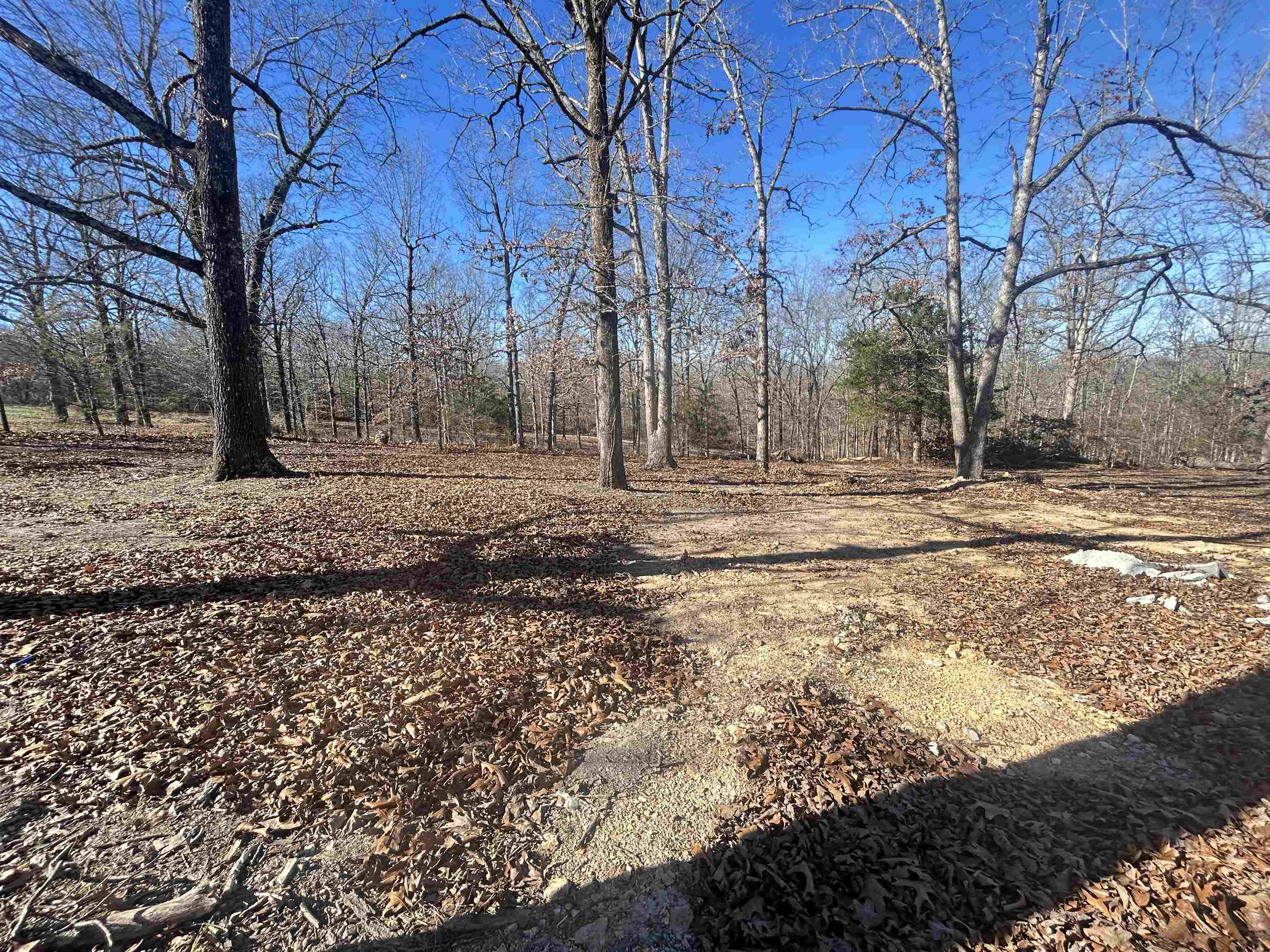 Photo 5 - Vacant Land for sale – TBD  FM 101   Highland, AR