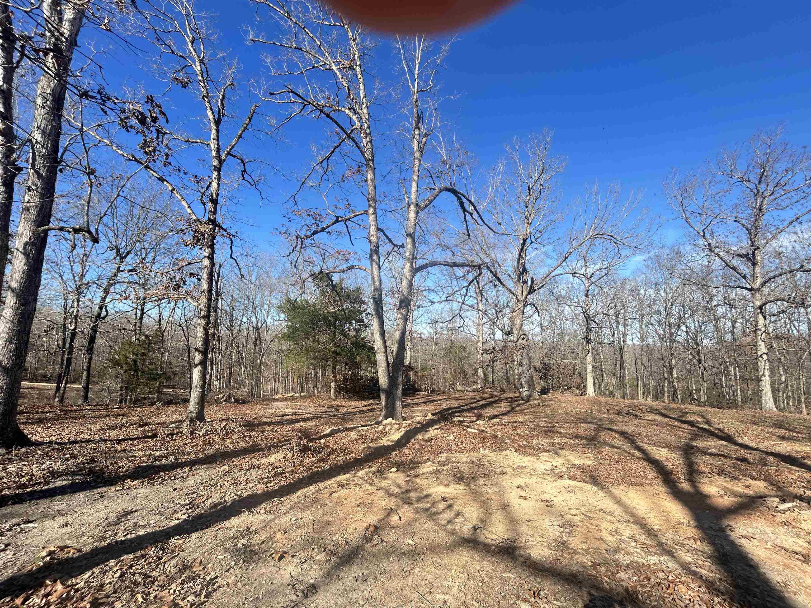 Photo 6 - Vacant Land for sale – TBD  FM 101   Highland, AR