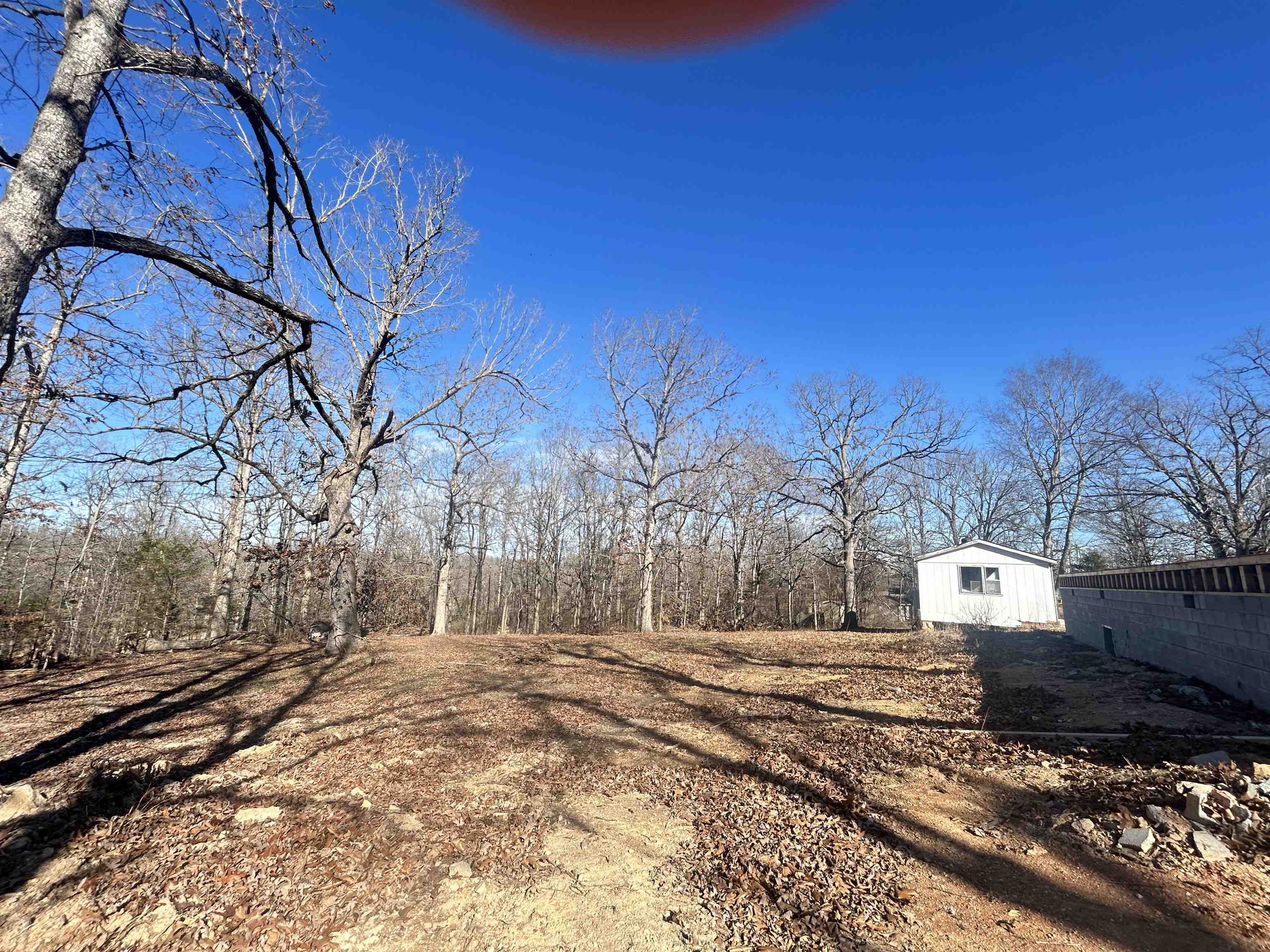 Photo 7 - Vacant Land for sale – TBD  FM 101   Highland, AR