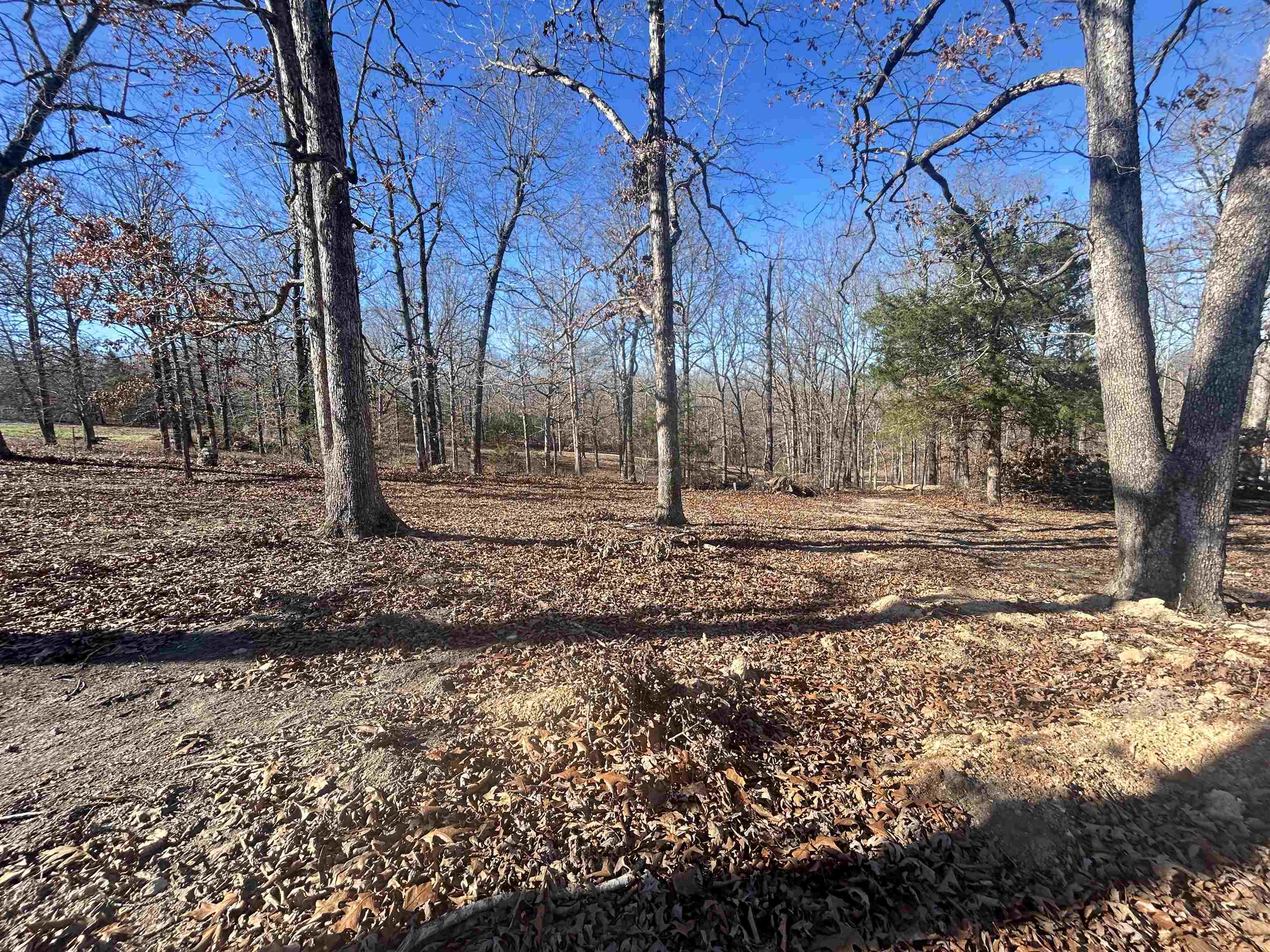 Photo 9 - Vacant Land for sale – TBD  FM 101   Highland, AR