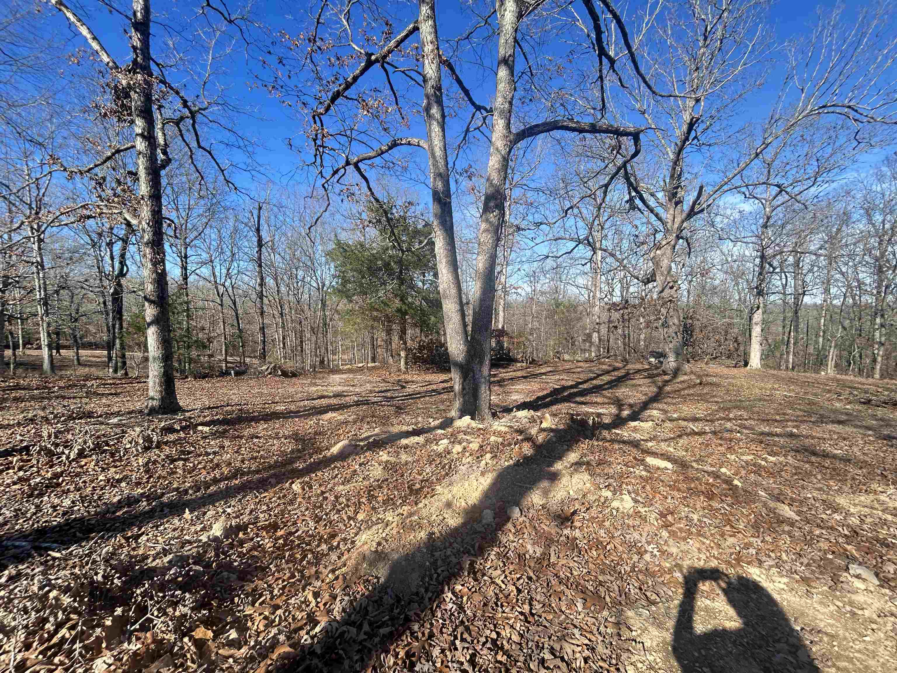 Photo 10 - Vacant Land for sale – TBD  FM 101   Highland, AR