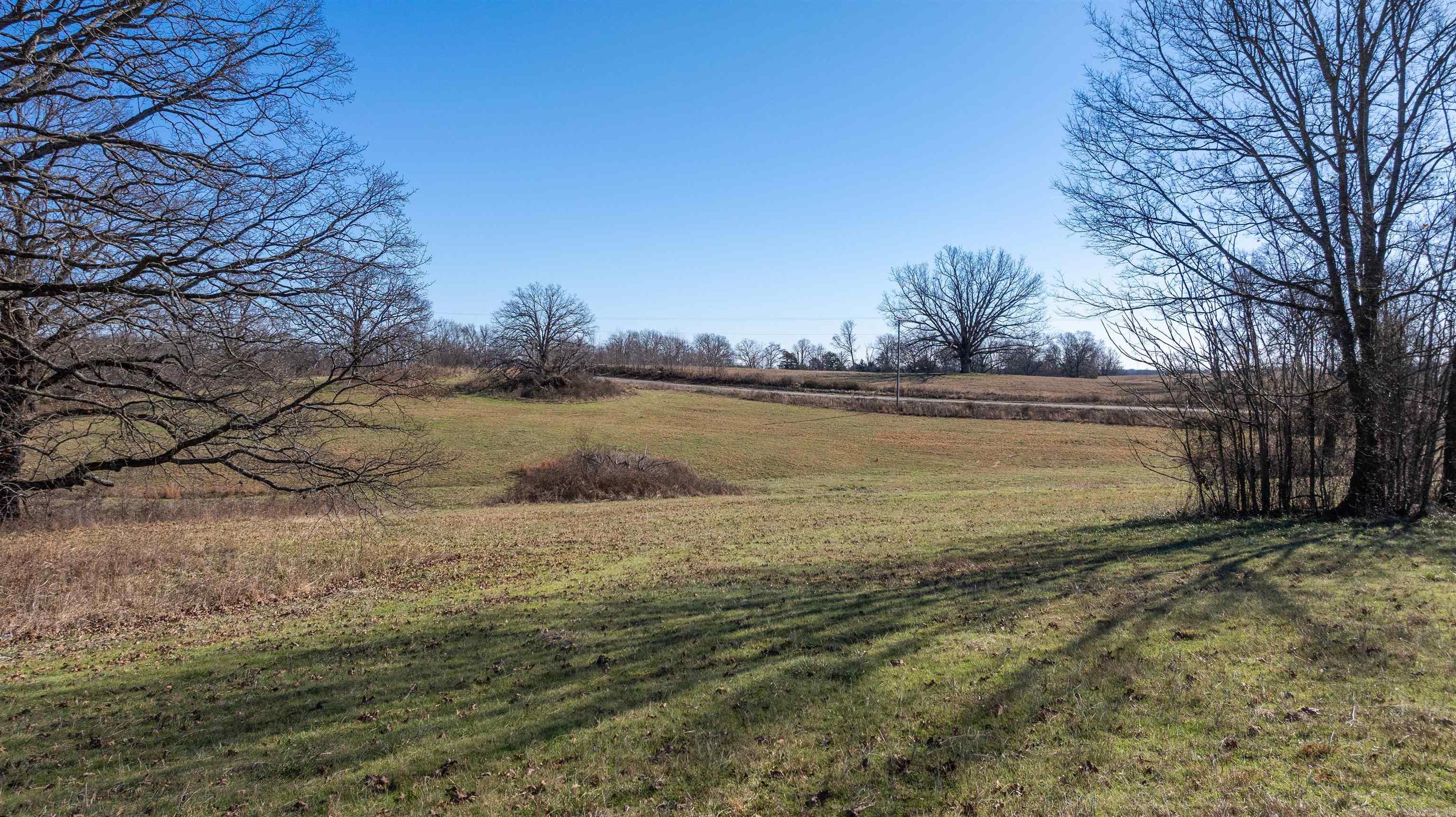 Photo 2 - Vacant Land for sale – 00  Walnut Grove   Newark, AR