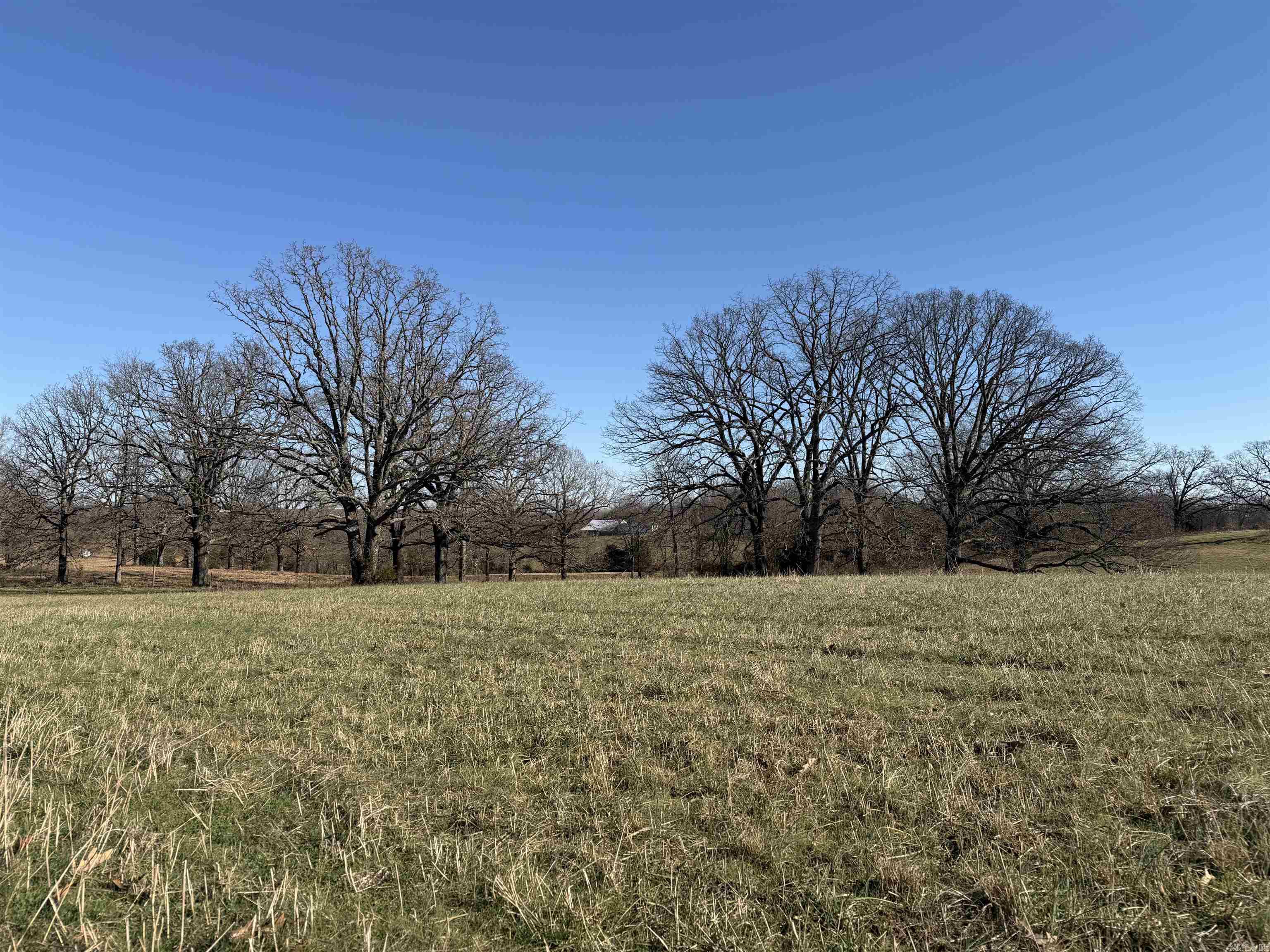 Photo 3 - Vacant Land for sale – 00  Walnut Grove   Newark, AR