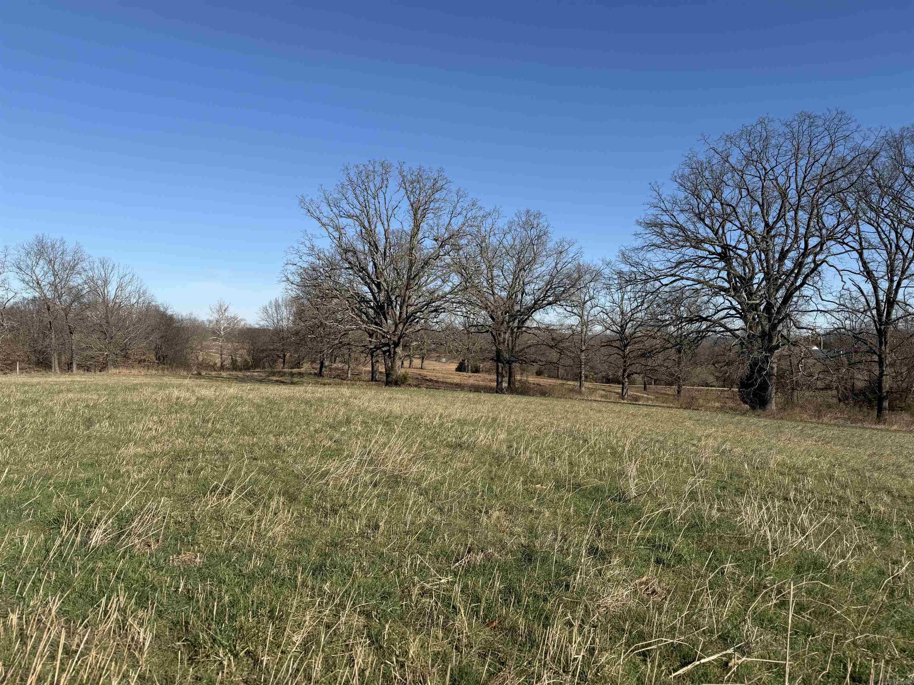 Photo 4 - Vacant Land for sale – 00  Walnut Grove   Newark, AR