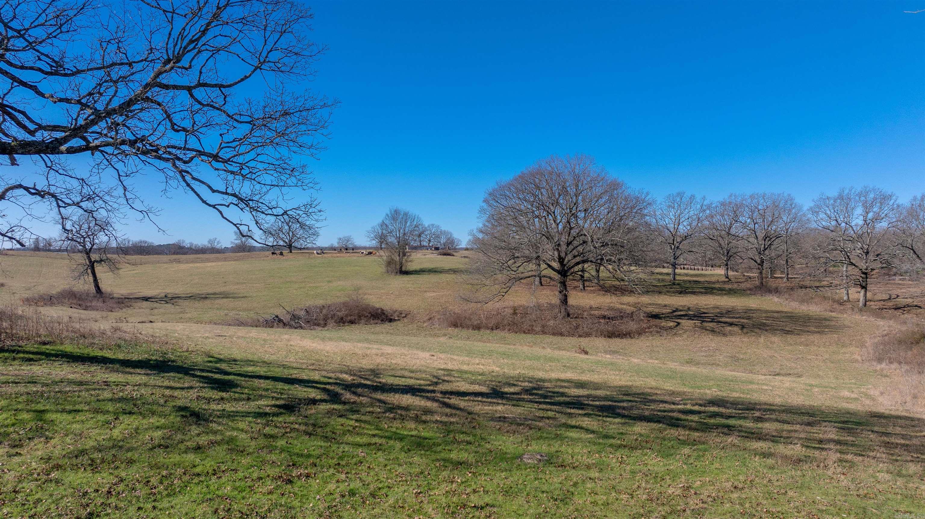 Photo 5 - Vacant Land for sale – 00  Walnut Grove   Newark, AR