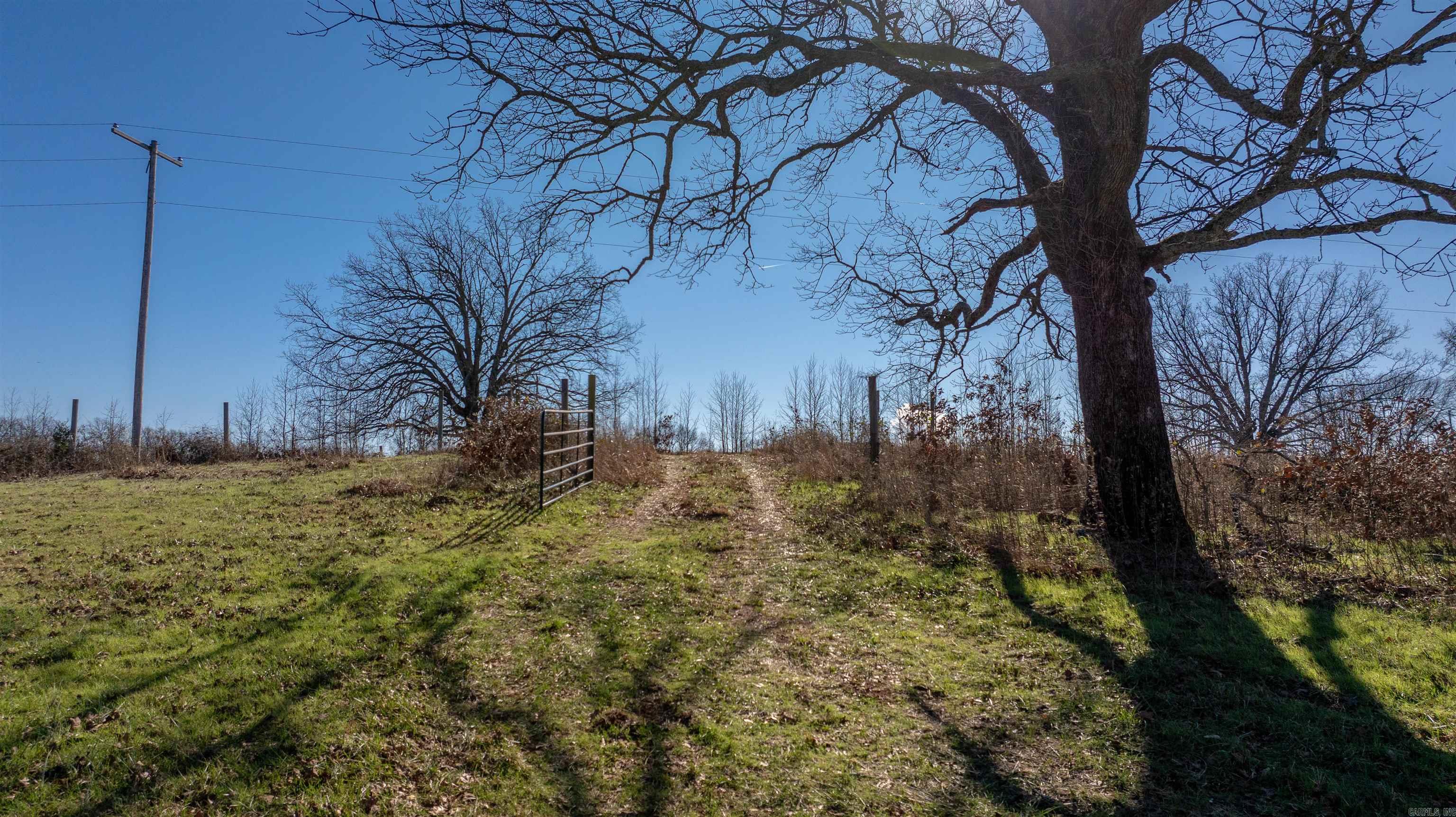 Photo 6 - Vacant Land for sale – 00  Walnut Grove   Newark, AR