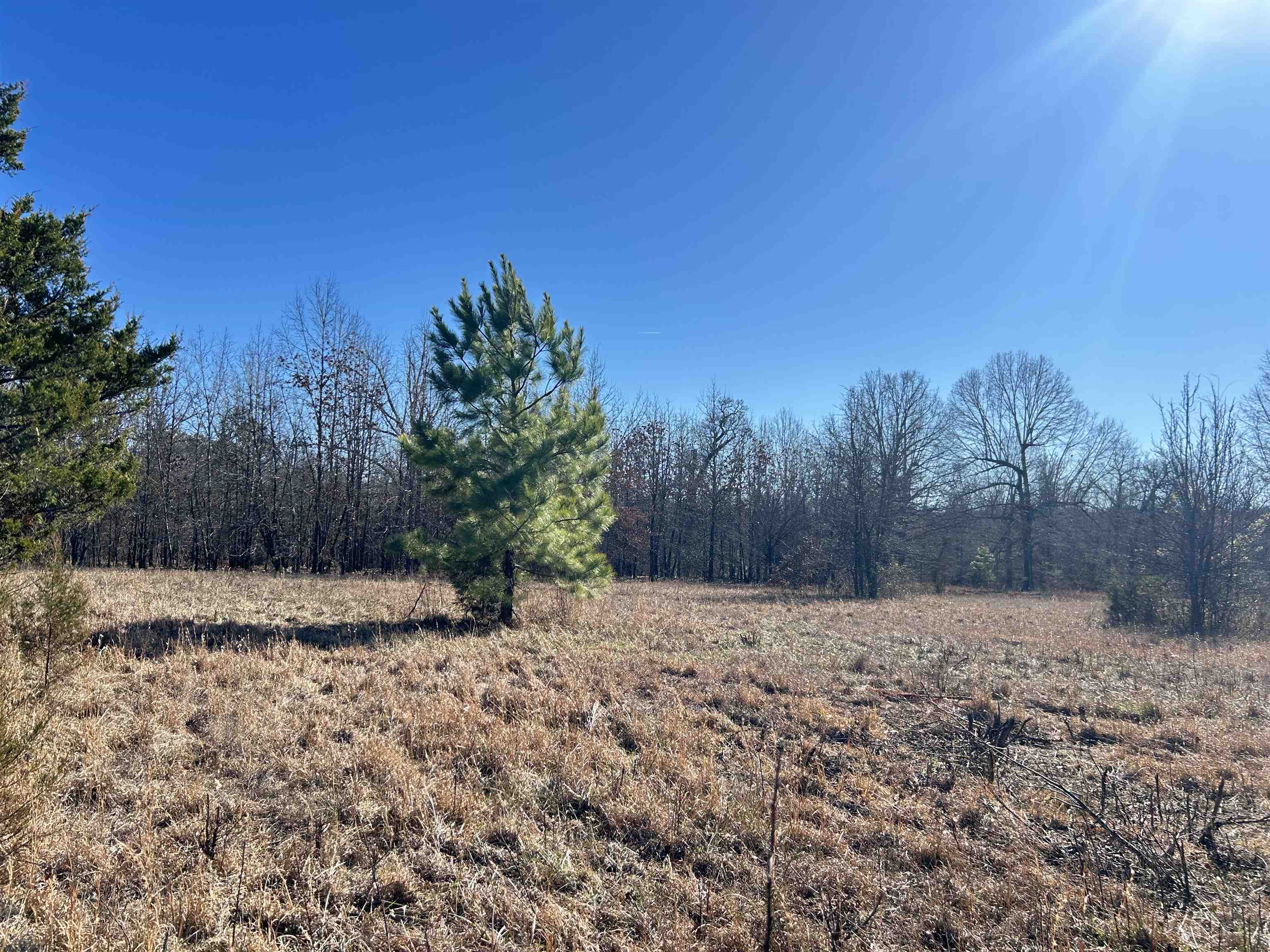 Photo 19 - Residential for sale – 1343  Hwy 62/412   Highland, AR