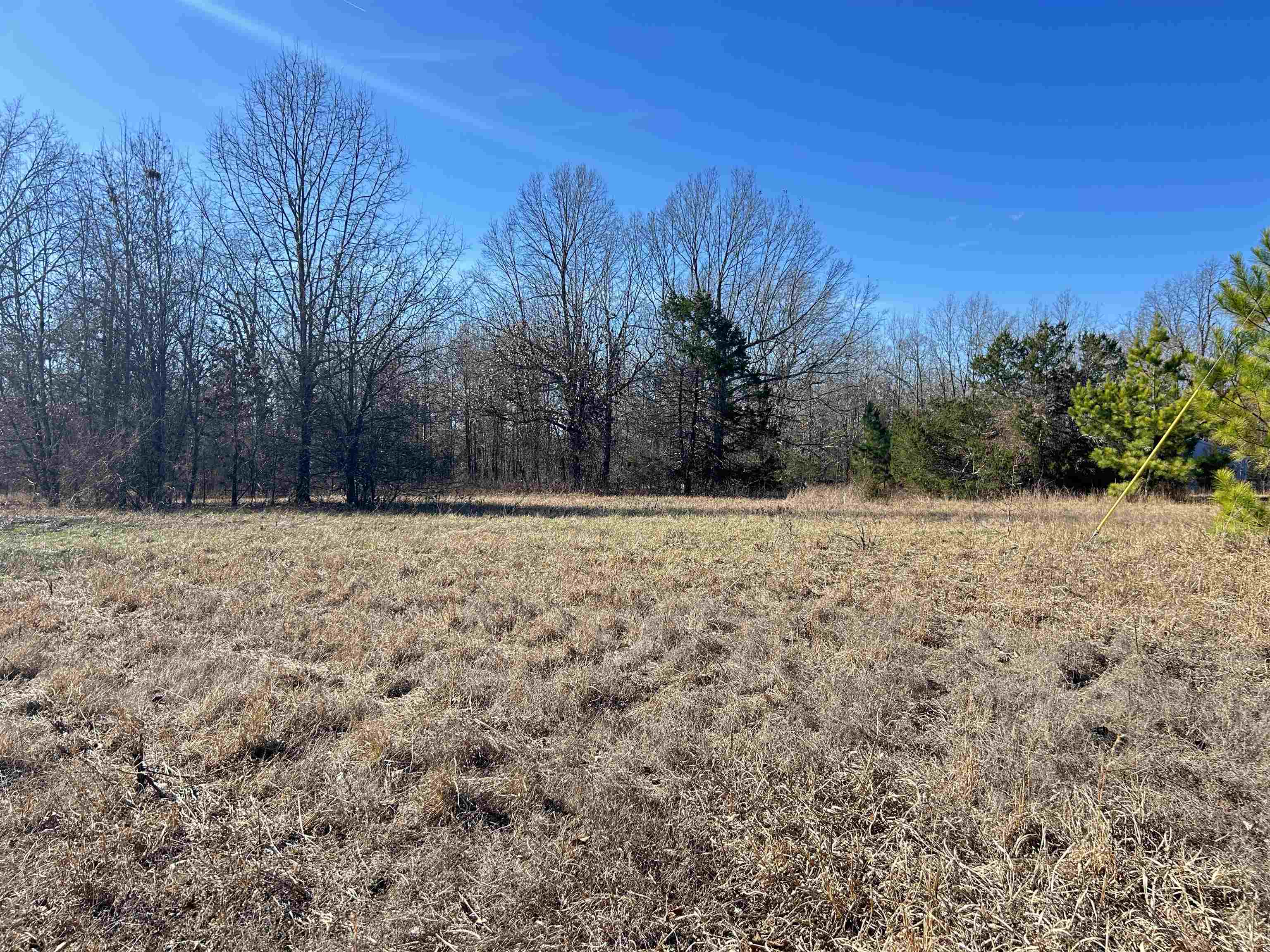 Photo 12 - Vacant Land for sale – TBD  Hwy 62/412   Highland, AR