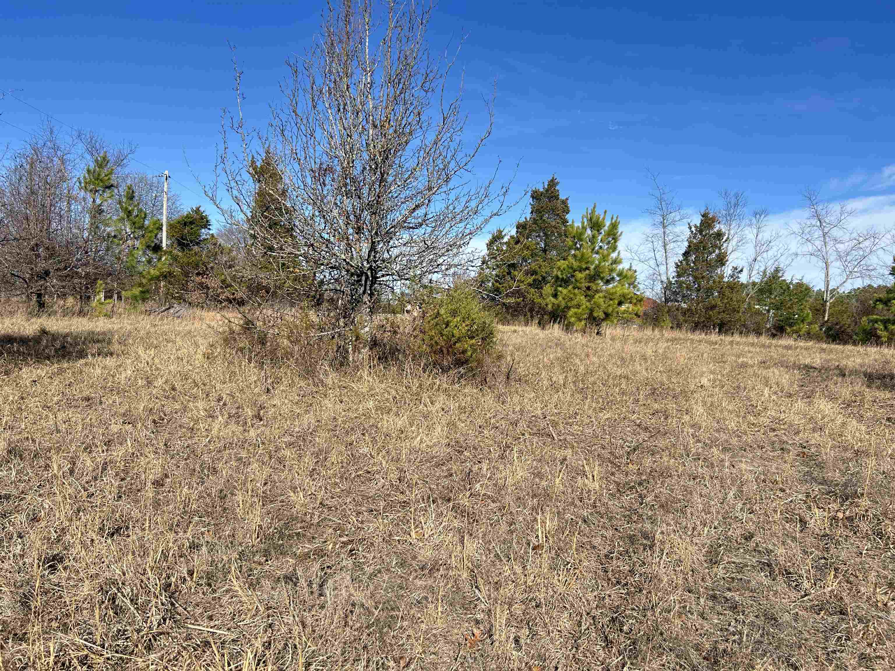 Photo 13 - Vacant Land for sale – TBD  Hwy 62/412   Highland, AR