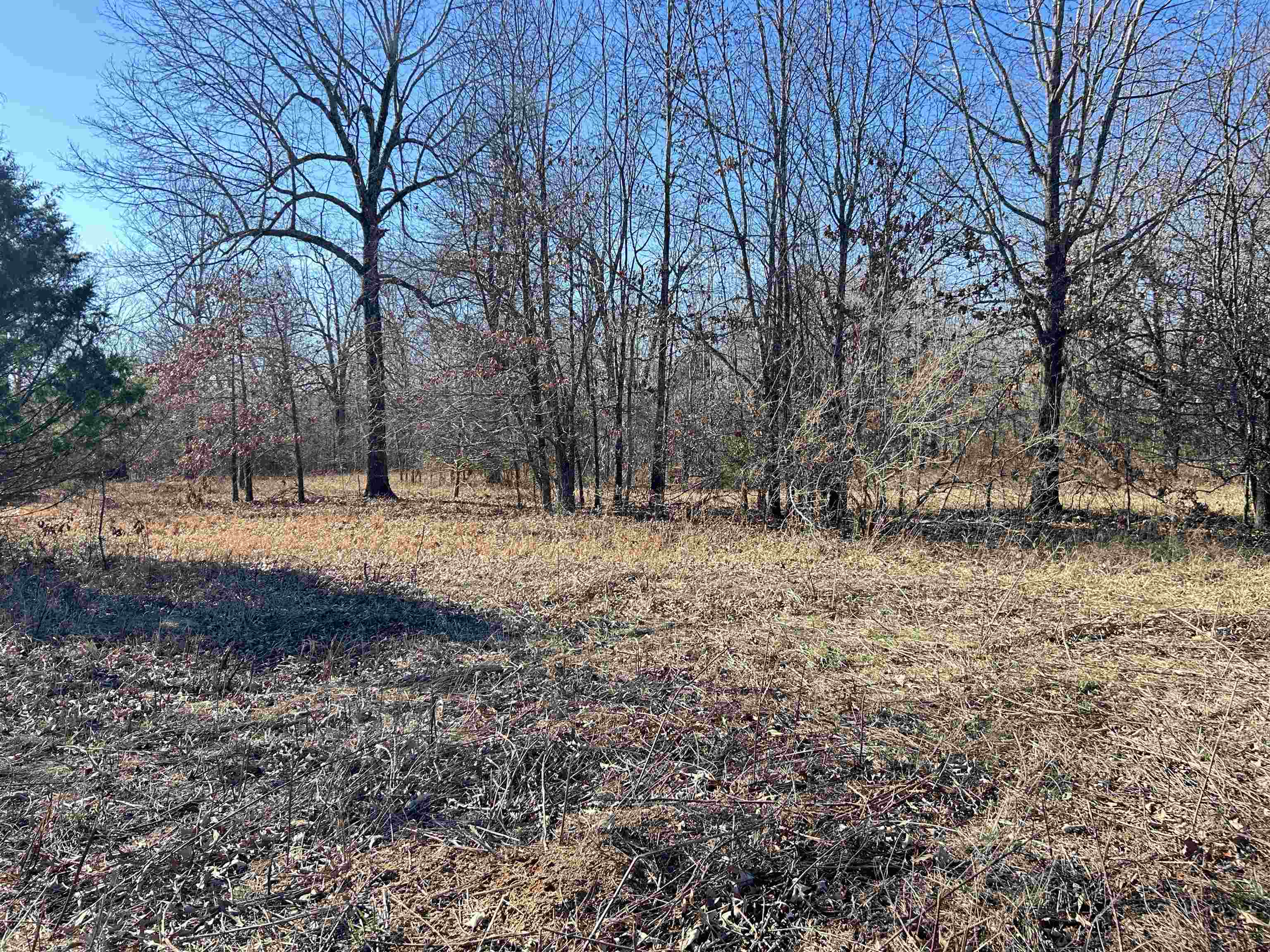 Photo 16 - Vacant Land for sale – TBD  Hwy 62/412   Highland, AR