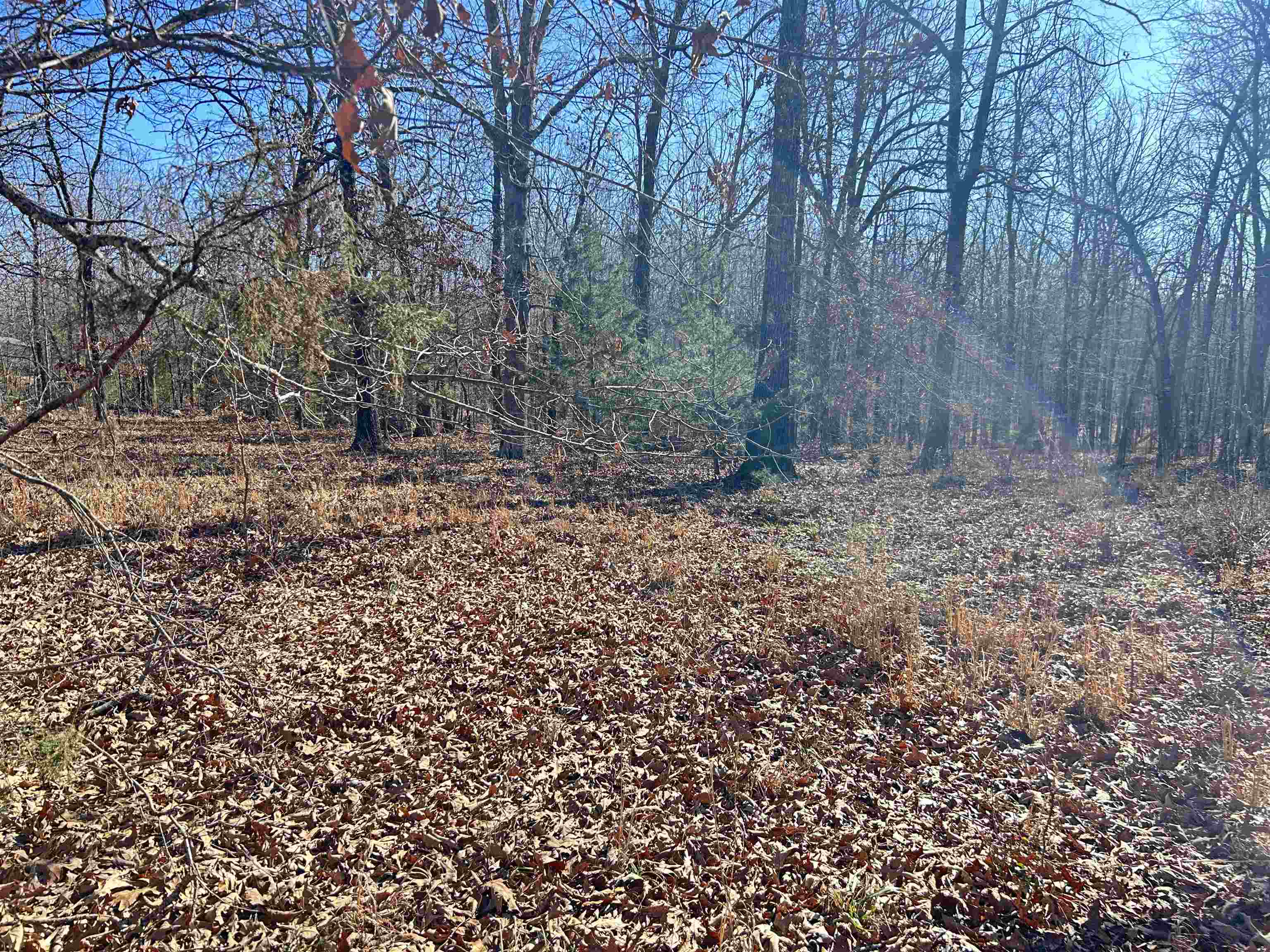 Photo 17 - Vacant Land for sale – TBD  Hwy 62/412   Highland, AR