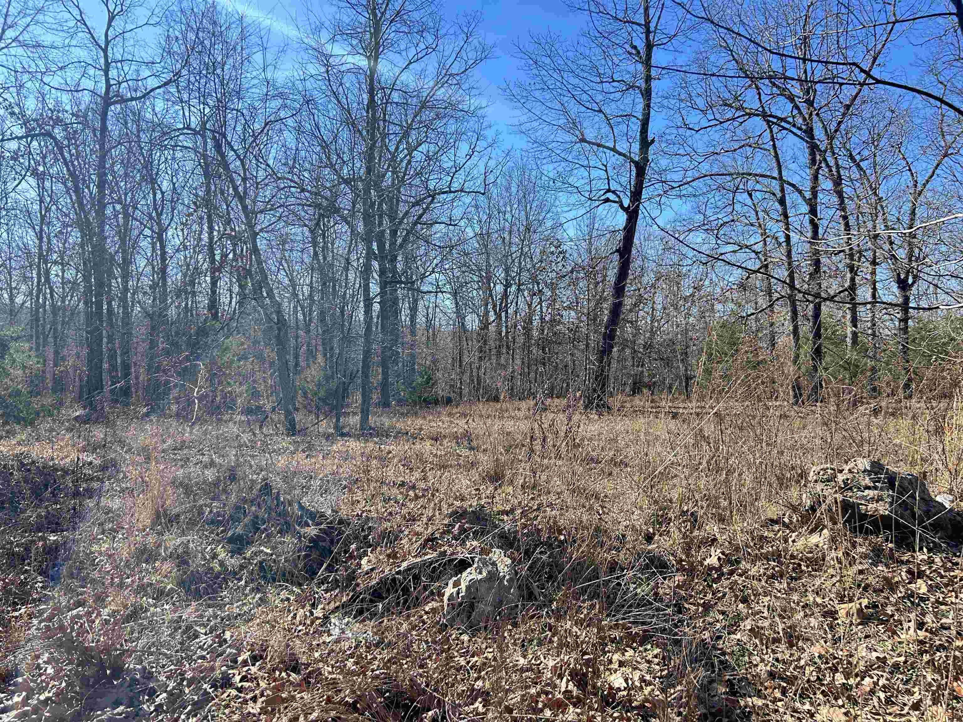 Photo 19 - Vacant Land for sale – TBD  Hwy 62/412   Highland, AR