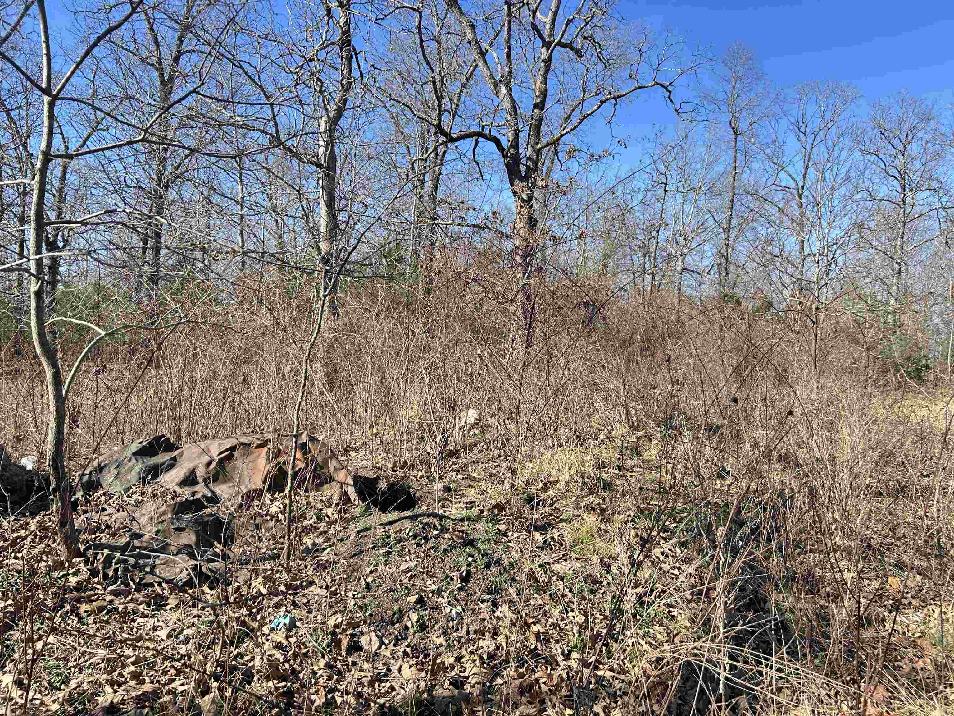 Photo 20 - Vacant Land for sale – TBD  Hwy 62/412   Highland, AR