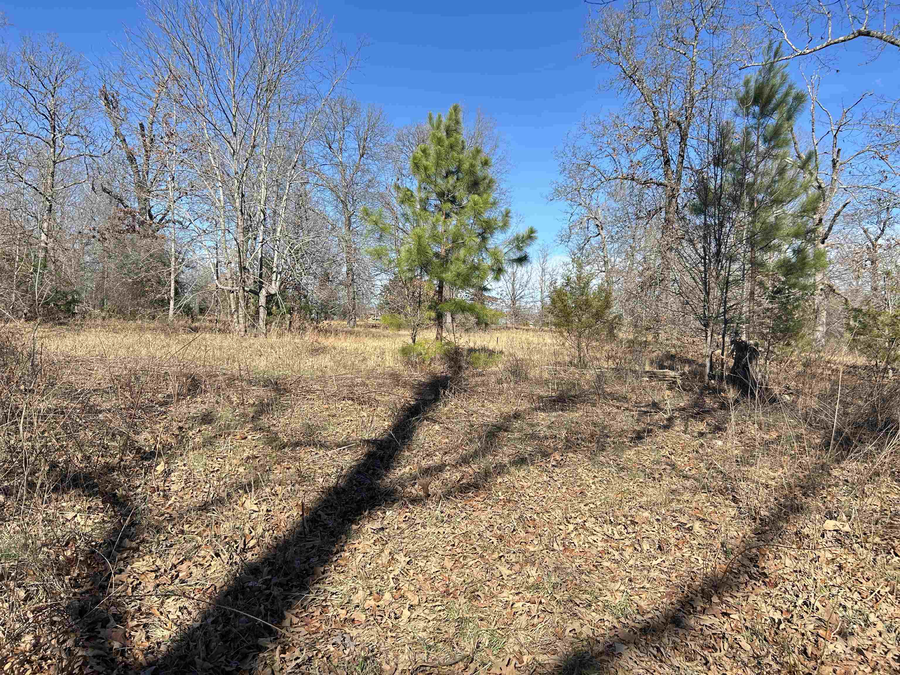 Photo 22 - Vacant Land for sale – TBD  Hwy 62/412   Highland, AR